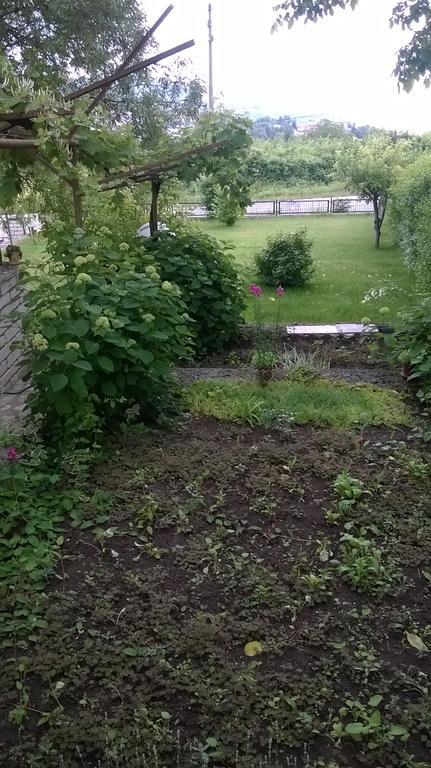 Villa Elina 발치크 외부 사진